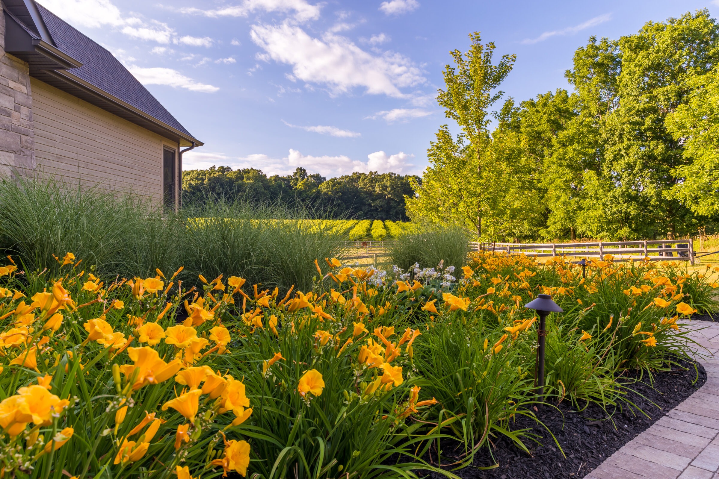 A garden with vibrant yellow flowers, lush greenery, and a house in the background. A wooden fence and distant treeline are visible.