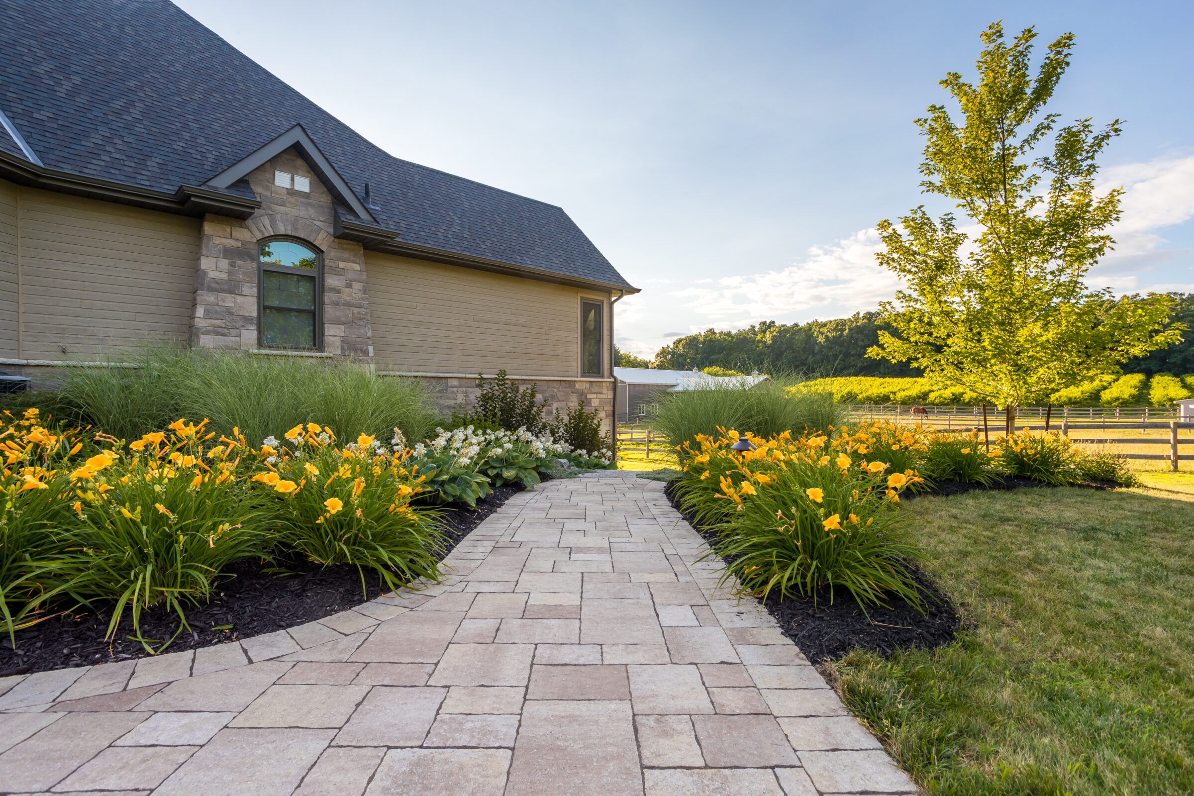 A stone path winds through a manicured garden with bright yellow flowers, leading to a modern house, surrounded by lush greenery.