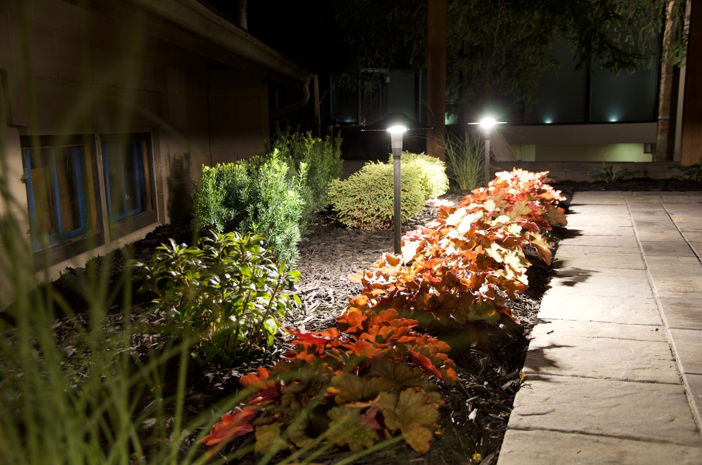 Nighttime garden scene with illuminated pathway, vibrant red and green foliage, bordered by a building, creating a tranquil, well-lit outdoor setting.